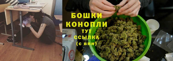 ECSTASY Коряжма