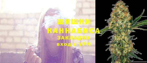 трава Корсаков