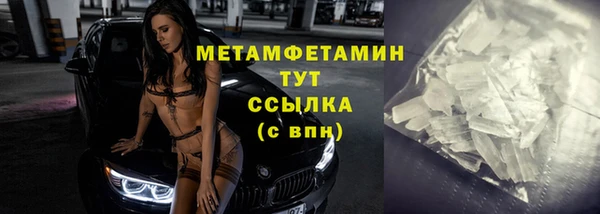 трава Корсаков