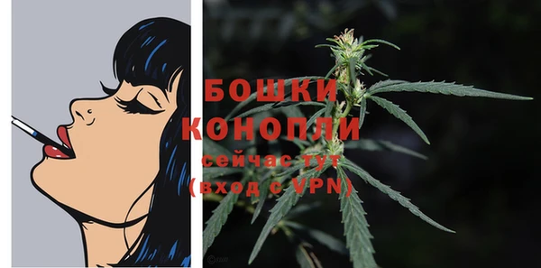трава Корсаков
