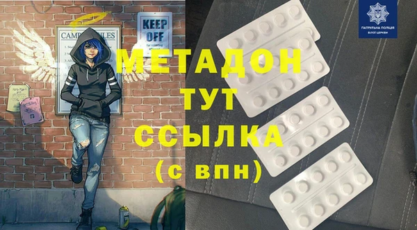 трава Корсаков