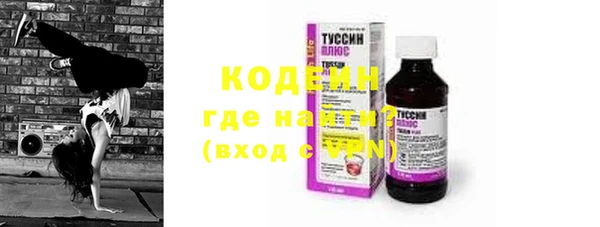 трава Корсаков
