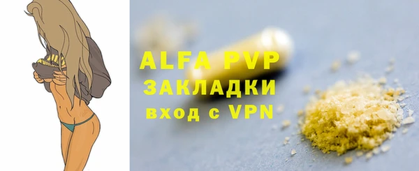 трава Корсаков