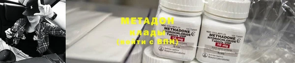 трава Корсаков