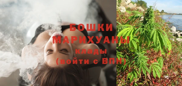 трава Корсаков