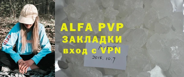 трава Корсаков